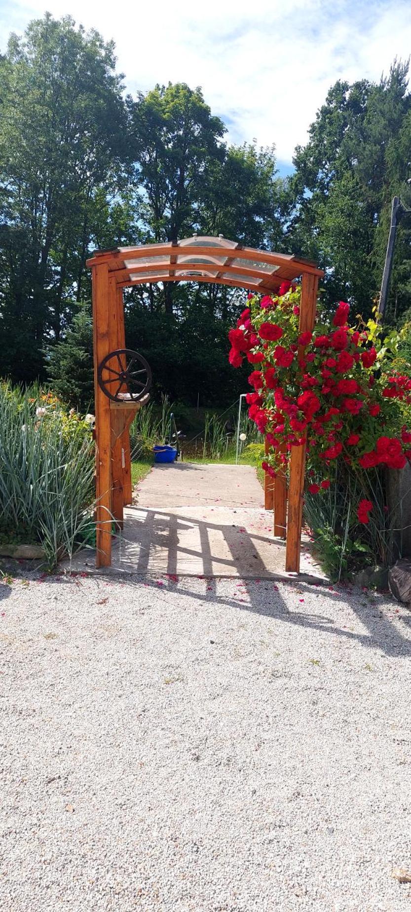 Bacio-Bacio Apartamenty Jelenia Gora Bagian luar foto
